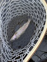 IMG_5563.jpeg