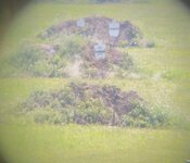 IMG_4374.jpeg
