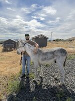 IMG_0049.jpeg
