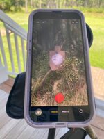 IMG_1115.jpeg