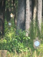 IMG_4927.jpeg