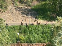 IMG_7377.jpeg
