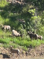 IMG_7395.jpeg
