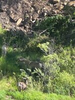 IMG_7399.jpeg
