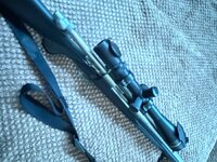 IMG_3733.jpeg