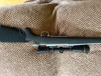 IMG_3729.jpeg