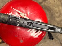 IMG_3001.JPEG