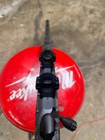 IMG_3004.JPEG