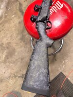 IMG_3007.JPEG