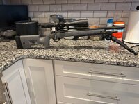 IMG_7264.jpeg