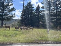 IMG_4988.jpeg