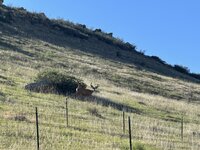 IMG_2724.jpeg