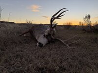 IMG_3482.jpeg