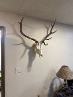 IMG_1587.jpeg