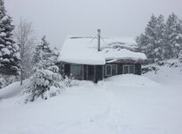 IMG_4100.jpeg