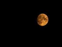 LK-6270131.jpg