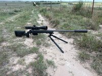 IMG_2532.jpeg