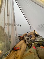 IMG_4965.jpeg