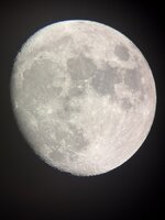IMG_5010.jpeg