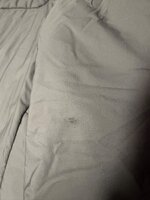 IMG_1286.jpeg IMG_1286.jpeg