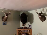 IMG_1308.jpeg IMG_1308.jpeg