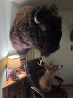 IMG_7572.jpeg IMG_7572.jpeg