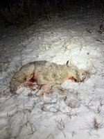 IMG_7594.jpeg