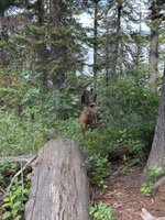 IMG_1273.jpeg