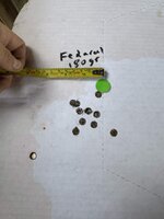 IMG_5503.jpeg