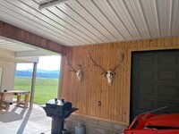 IMG_5972.jpeg