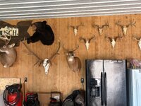 IMG_5977.jpeg
