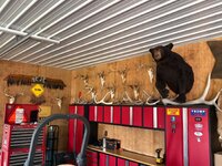 IMG_5979.jpeg
