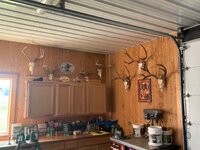 IMG_5980.jpeg