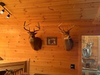 IMG_5986.jpeg