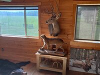 IMG_5988.jpeg