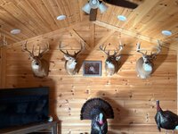 IMG_5991.jpeg