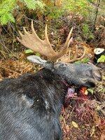 IMG_1621.jpeg
