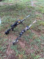 IMG_3909.jpeg IMG_3909.jpeg