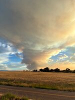 IMG_0497.jpeg