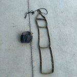 IMG_7149.jpeg