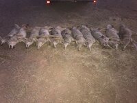 IMG_0912.jpeg