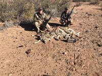 IMG_3595.jpeg