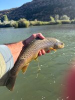 IMG_0247.jpeg
