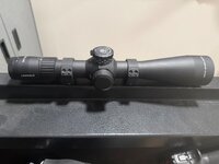 IMG_2202.jpeg
