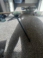 IMG_5356.jpeg