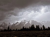 D1C44289-90F9-4075-8064-44C2207082B8.jpeg