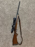 IMG_4181.jpeg IMG_4181.jpeg