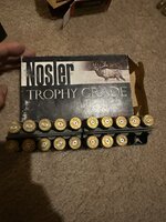 IMG_5973.JPEG