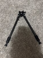 IMG_0219.jpeg