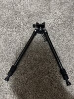 IMG_0220.jpeg